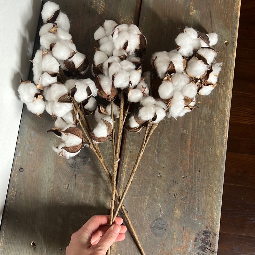 Cotton stems